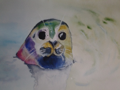grey seal, water colour.