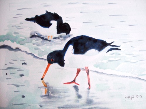Oyster Catchers.